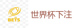 线上赌球网站_2026世界杯在线投注官网